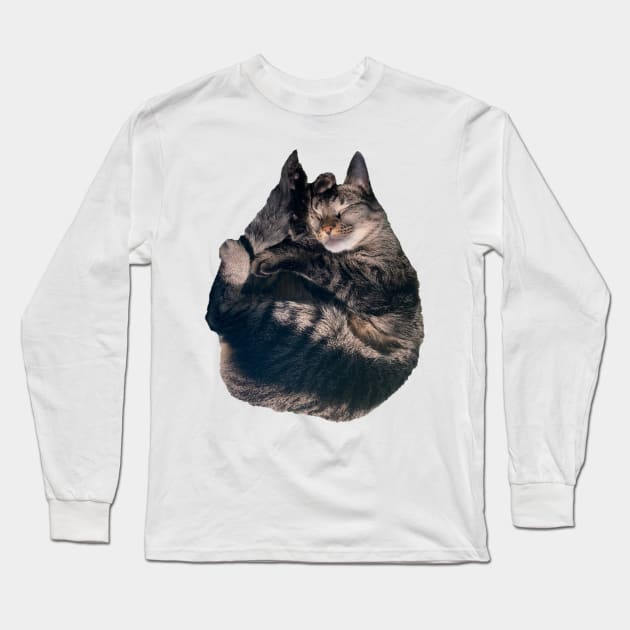 Snuggle Kitty Long Sleeve T-Shirt by Amanda1775